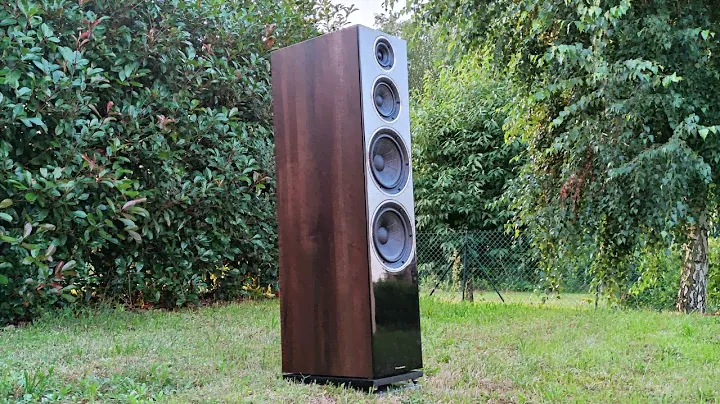 Wharfedale Diamond 250 Hifi Nature #02