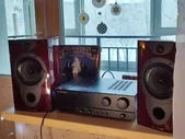 Полочная акустика Wharfedale Evo2-10